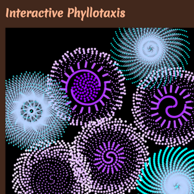 interactive phyllotaxis thumbnail